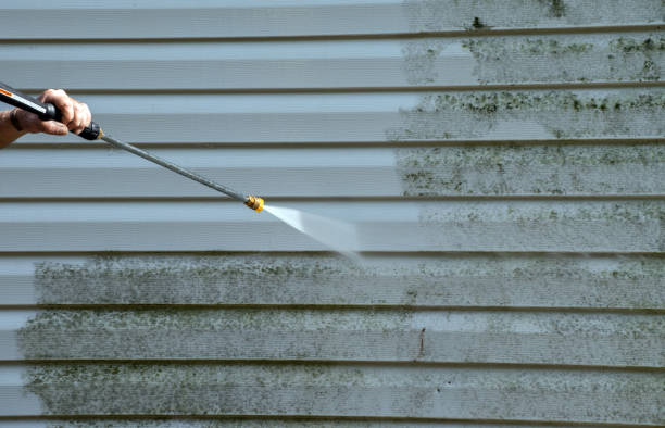 Best Affordable Pressure Washing  in Cecilia, LA