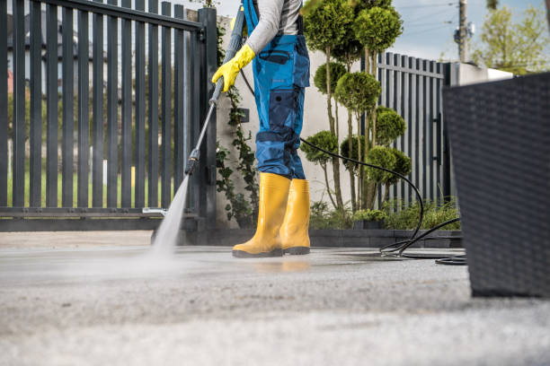 Best Roof Power Washing Services  in Cecilia, LA