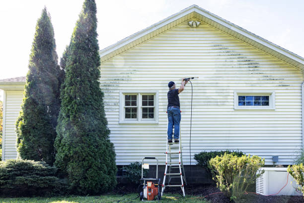 Trusted Cecilia, LA Pressure Washing Experts