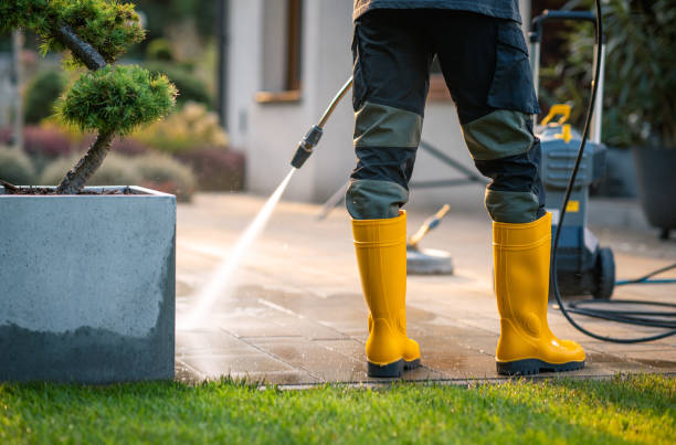 Best Sidewalk Pressure Washing  in Cecilia, LA