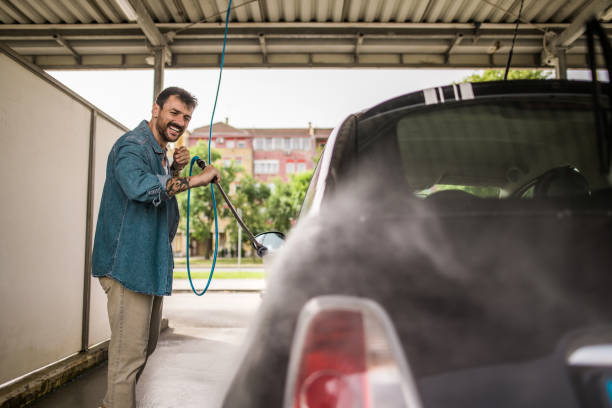 Best Pressure Washing Near Me  in Cecilia, LA